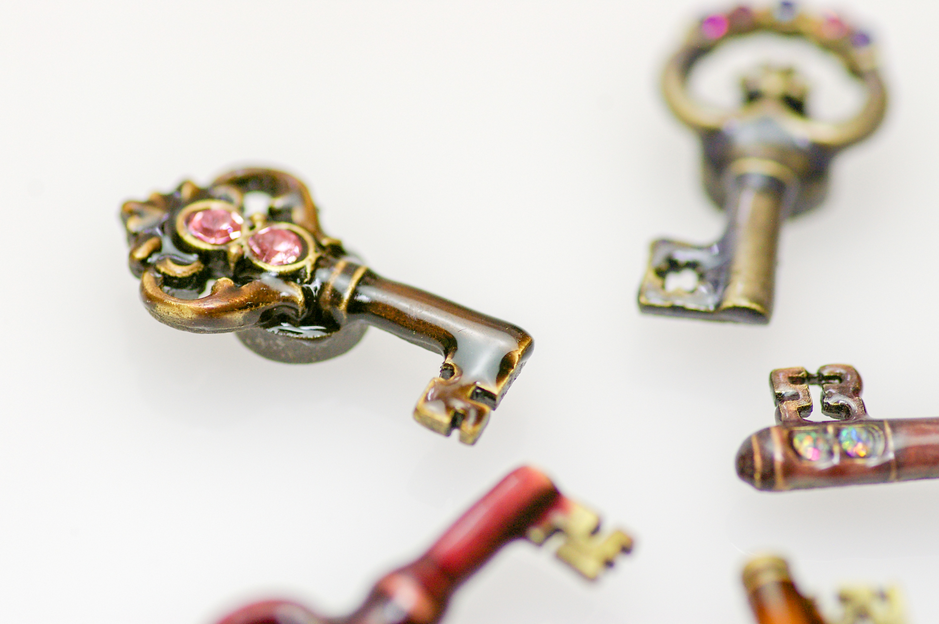 写真の説明を入れます